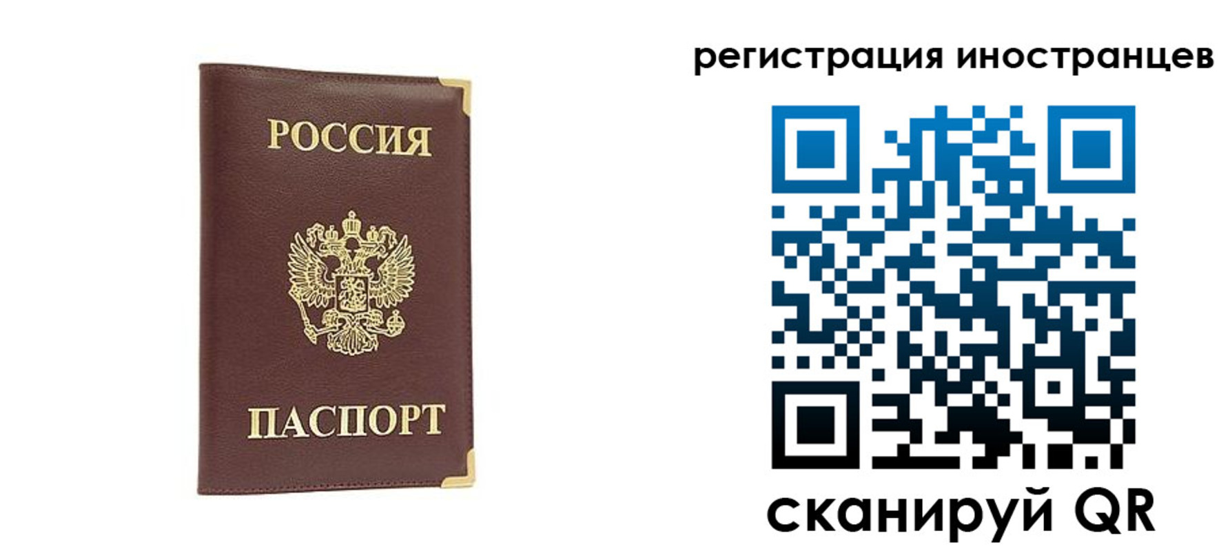 регистрация в Каргополе
