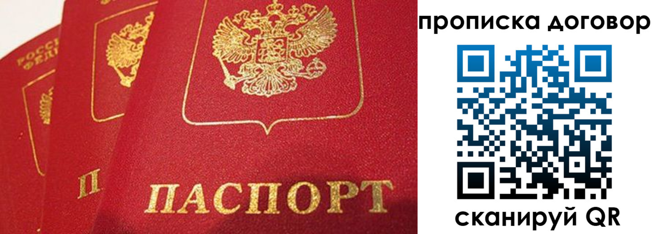 найти адрес прописки в Каргополе
